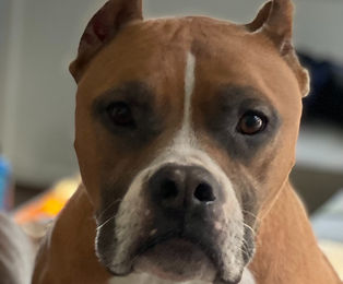 IMG-1194 (1)_edited.jpg