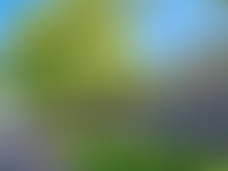 BKM debut fund goes for 18th asset