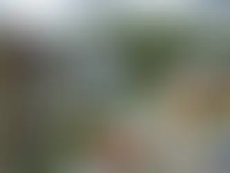 Cómo convertir los barrios en Eco-barrios sin demoler nada. El tiempo apremia.