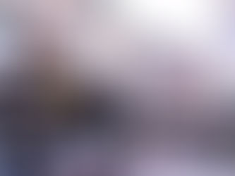 An Interest in Things Viennese