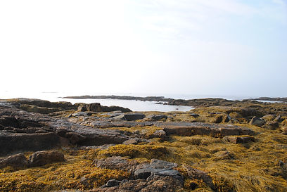 DSC_0197.JPG