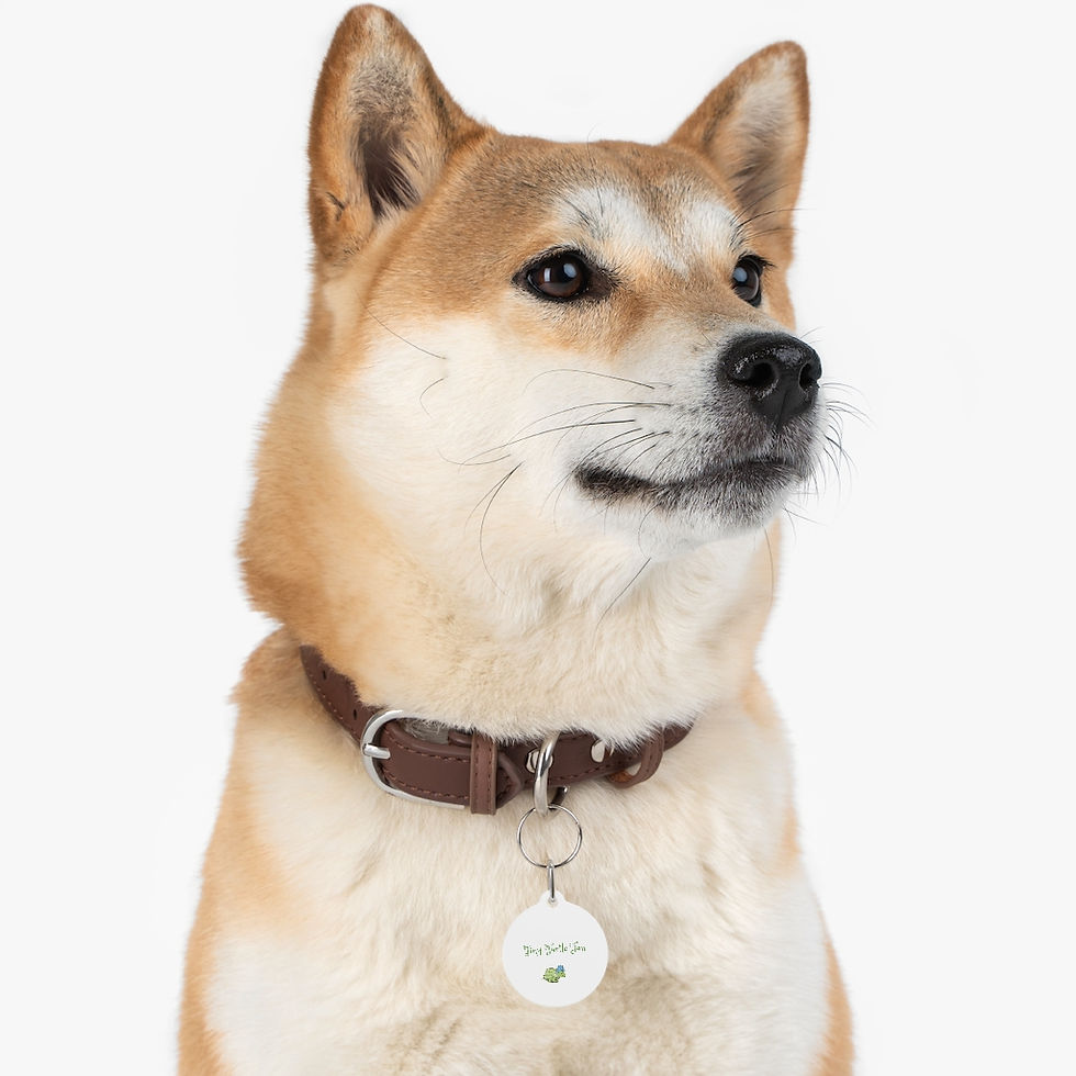 Thumbnail: Tiny Turtle Fan Pet Tag