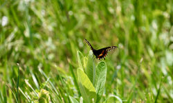 90AB6796-E9C9-4143-B288-1C553AA05758_1_201_a