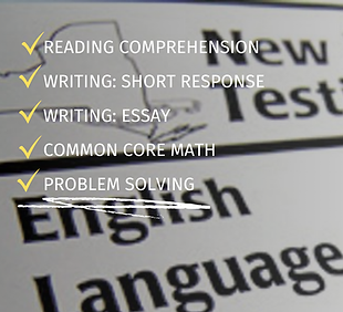 (ES) NYS Test Prep.png