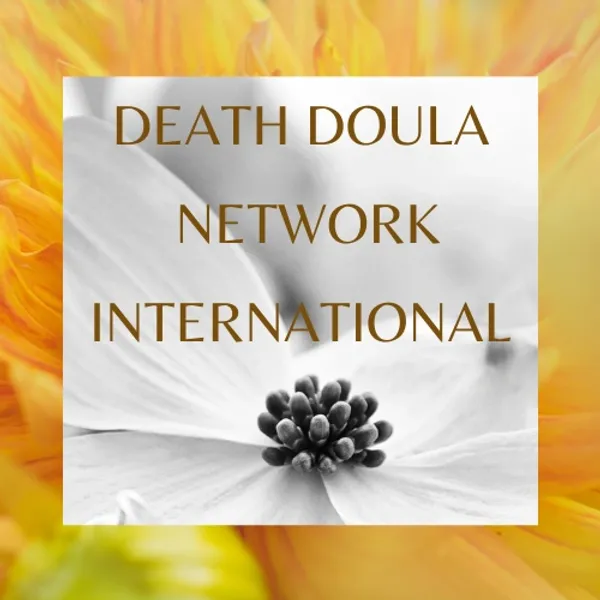 DDNI Logo.webp