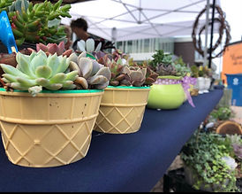 Succulent planters at a show