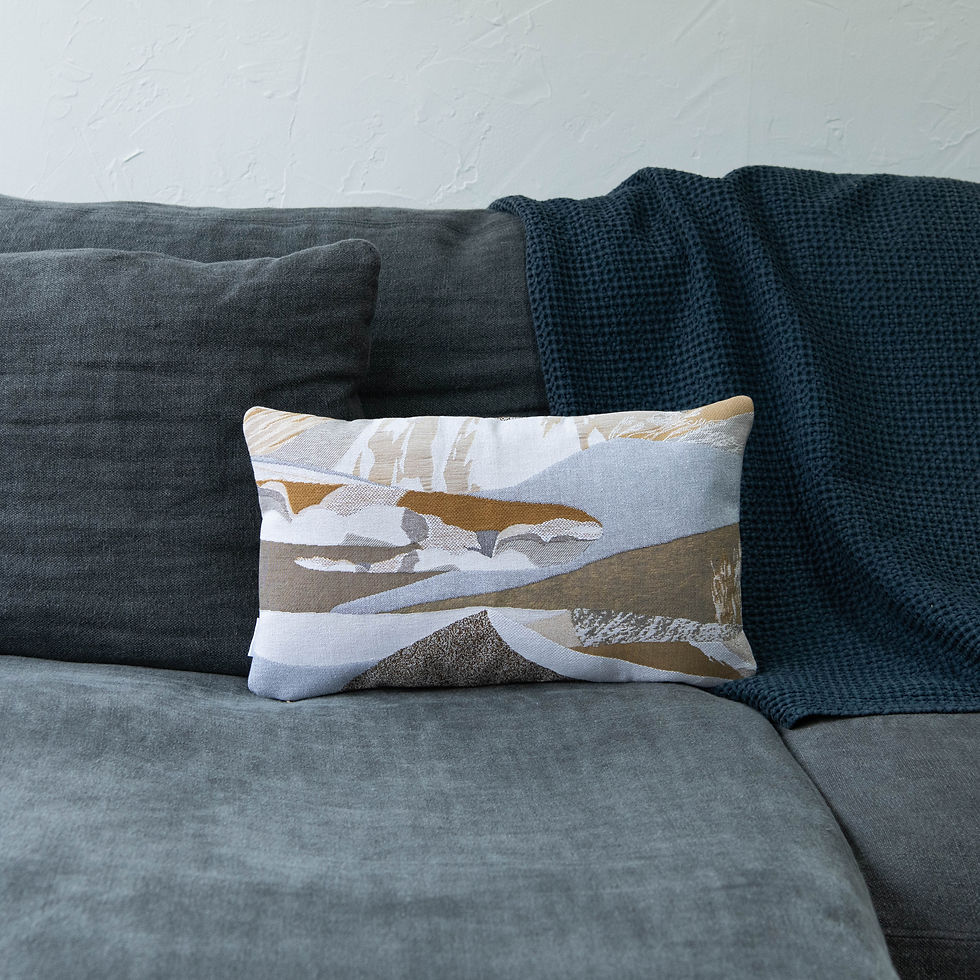 Coussin déco 50x30 cm