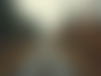 研究用GNSSレンタルの成功事例とサポート