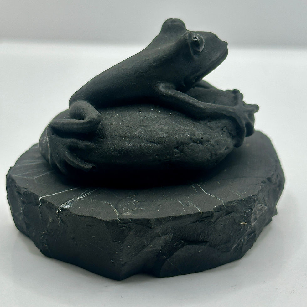 Thumbnail: Shungite Frog Figure