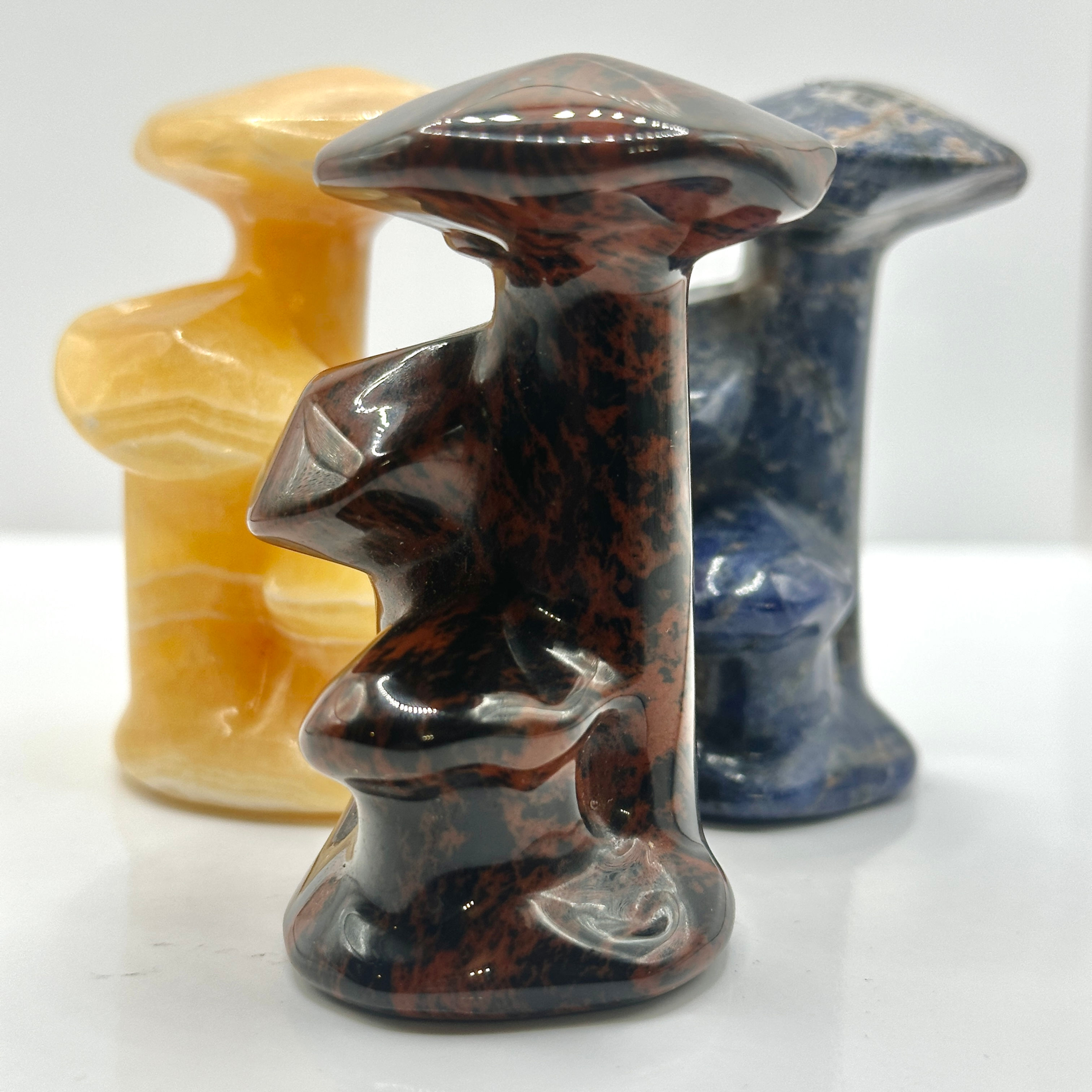 Assorted 3 in 1 Mushrooms