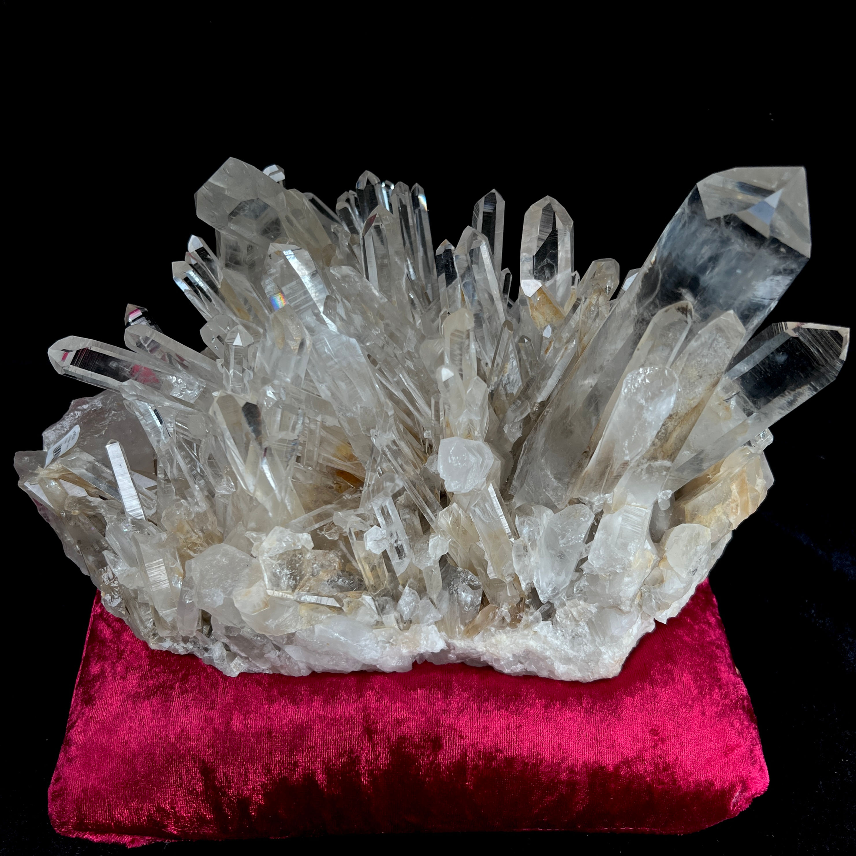 Colombian Blue Smoke Cluster