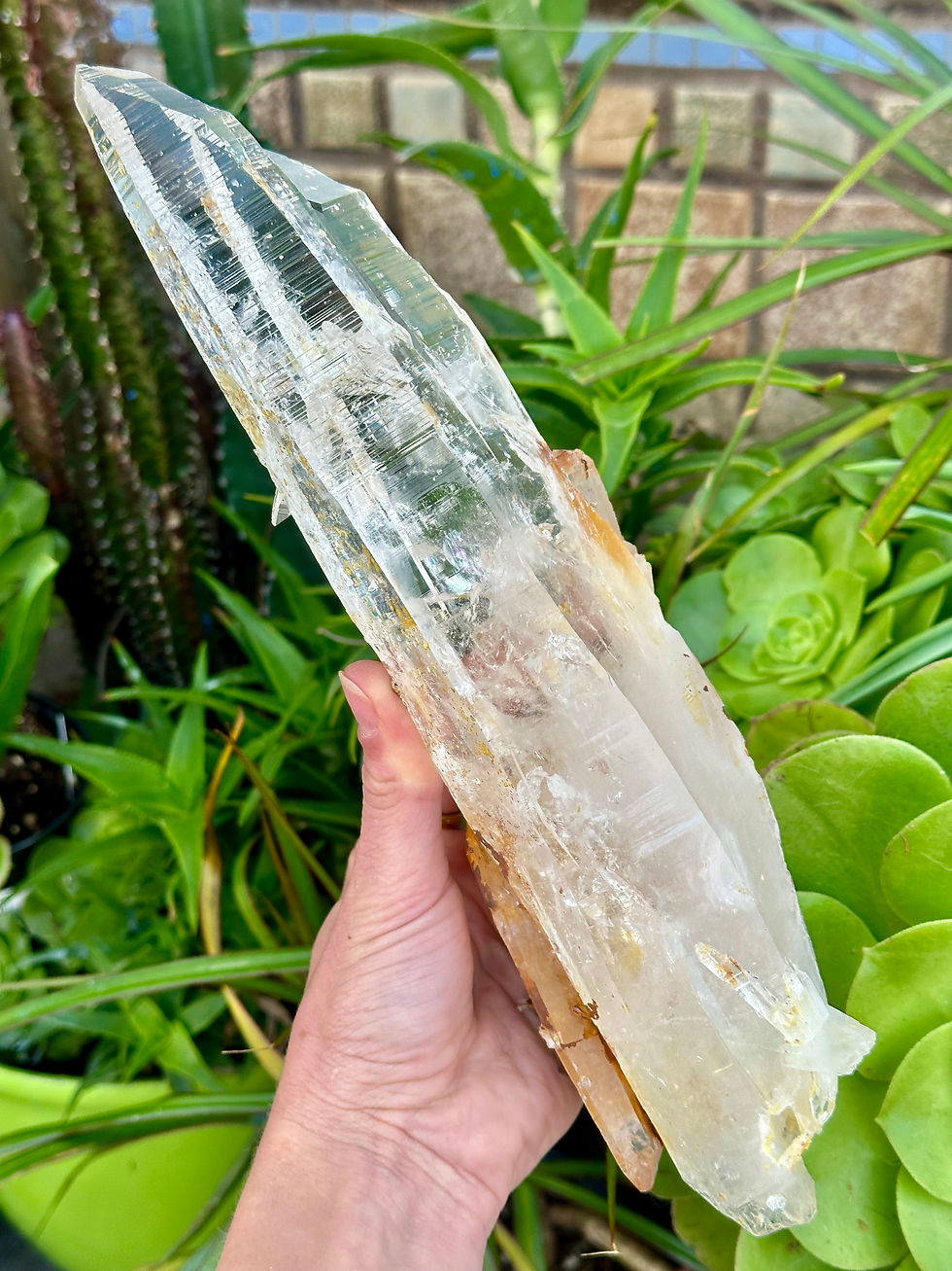 Thumbnail: Large Colombian Lemurian Quartz Point