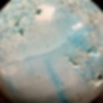 Thumbnail: Blue Hemimorphite Sphere