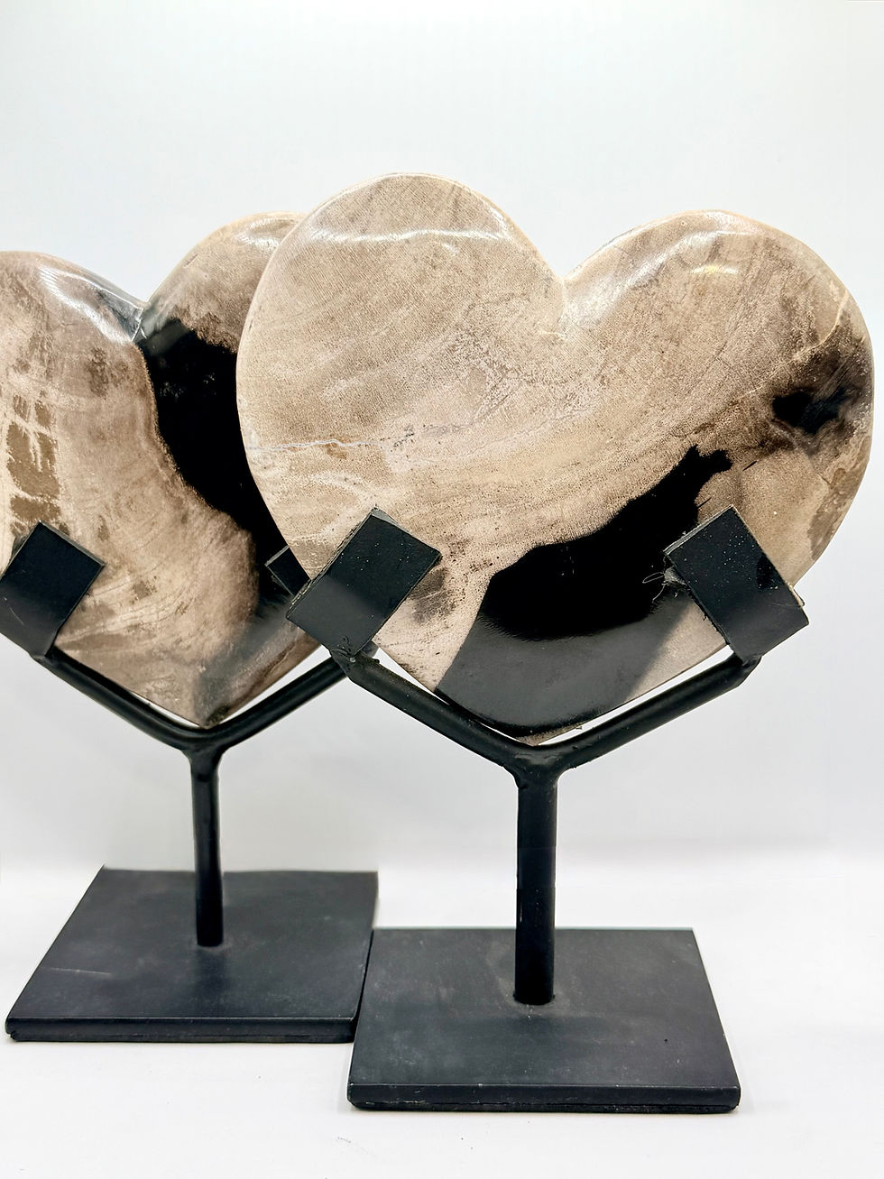 Thumbnail: Petrified Wood Heart