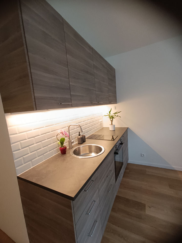 Rénovation dans le 15e arrondissement de Paris : cuisine