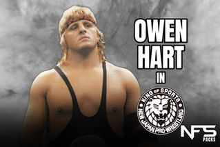 Owen Hart in Japan Pack
