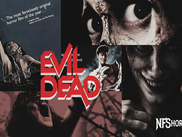 Evil Dead (Film Series)