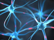 Memory Beyond the Brain