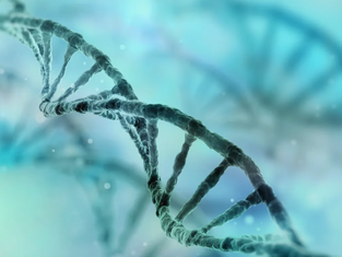 MicroRNA: Can Tiny Molecules Control Our Genes?