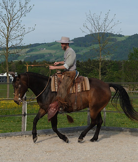 DSCF0208.JPG