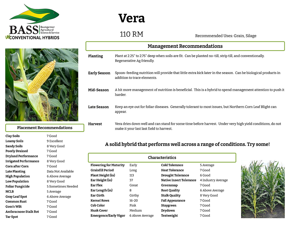Vera