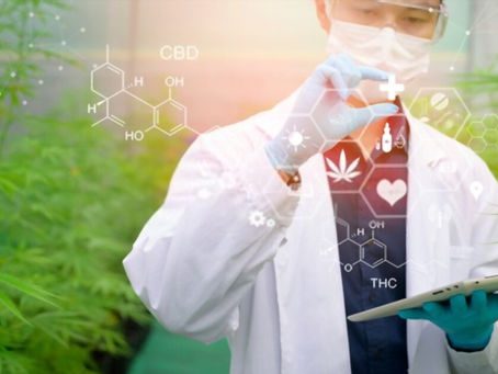How Acumen EMR Software Can Improve Your Practice?