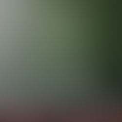 Performance management is getting trickier!