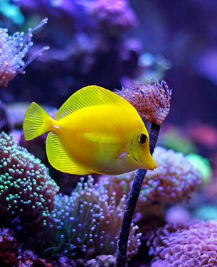 AdobeStock_167453013.jpeg