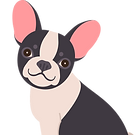 Hund Erziehung_edited_edited_edited.png