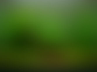 Walstad Metodu Oquanus