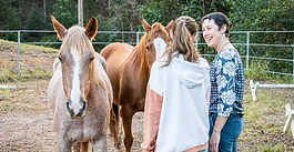 🐴 What to Expect in an Equine-Assisted Psychotherapy Session
