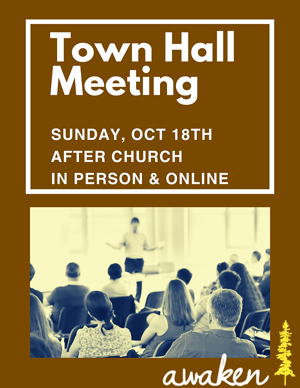 Yellow & Black Minimal Town Hall Meeting Flyer (1).png