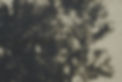 220914_sarahkimstudio_web1_FIN.jpg
