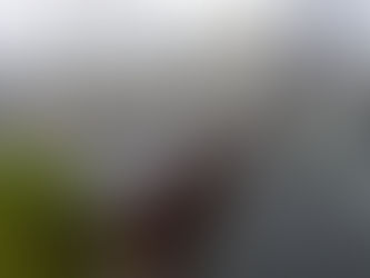 江戸川区 資材置場の改修