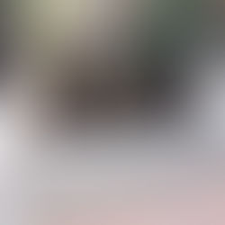 西東京市　H邸　門扉の交換工事