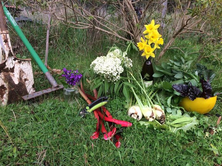 The Kitchen Garden: Living Larder, Apothecary and more...