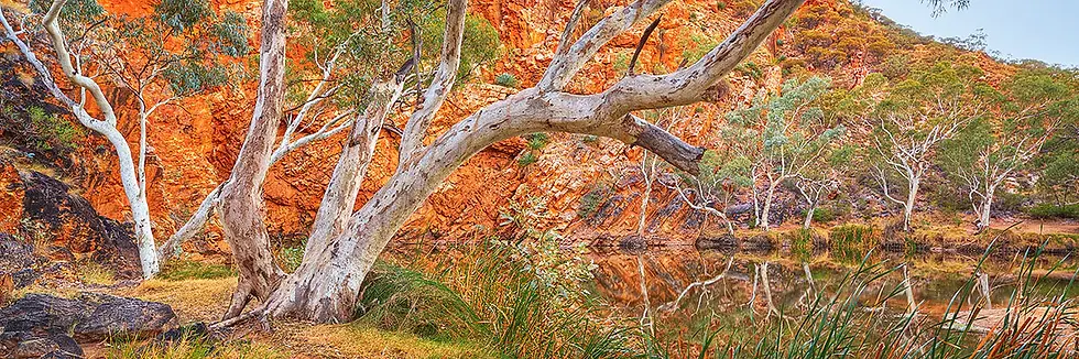 outback-waterhole-retreat-ellery-creek-big-hole-west-macdonnell-ranges_1200x.webp
