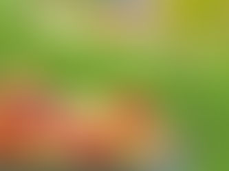 Apple Day at Sholing Valleys