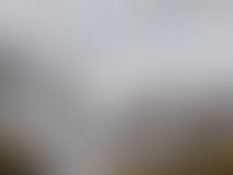 花粉症ってどうしてなるの? 気づきの連鎖で感動中