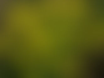 視力回復と目の浄化の話