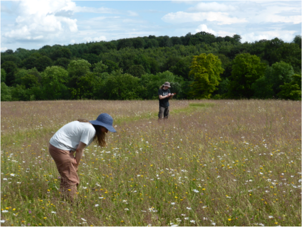 Isobel and Vincent carrying out floral quadrats at Christmas Common
