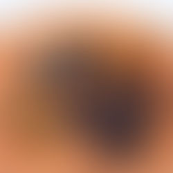 1/24 POTLUCK 出演情報