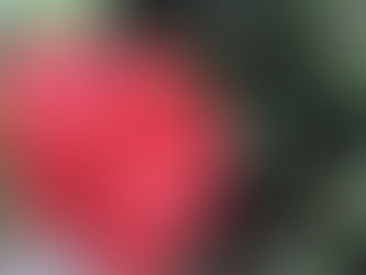 इहि तत्त कहियो ज्ञानी