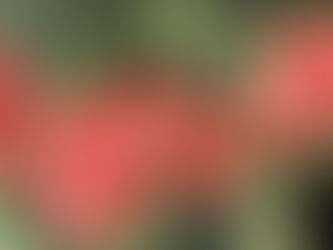 जो कर्ता में अकर्ता, और अकर्ता में कर्ता को देखता है। वही देखता है।