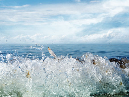 A fish is thirsty.