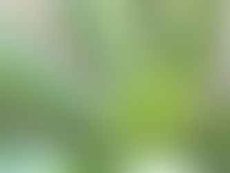 ऐसी भक्ति करे रैदासा।