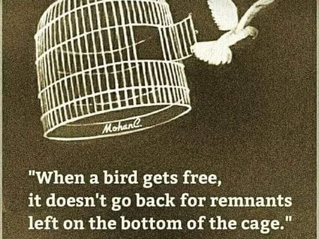When a bird gets free
