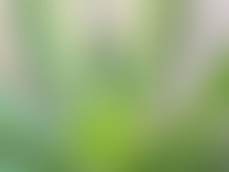 प्रेम, प्रथम कभी नहीं और अति कभी नहीं