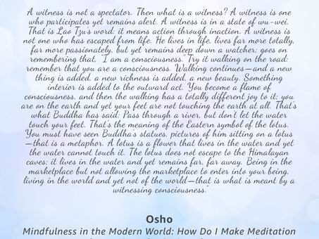 The folk theory of nondual enlightenment explained-Jodi Radzik