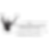 The Dale Earnhardt Foundation